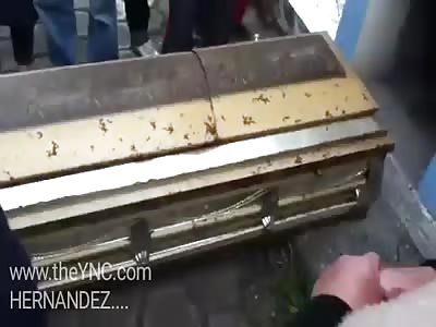 Exhumation after 4 years