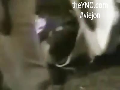 Death of rider in jaripeo in tonala jalisco