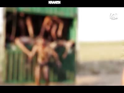 ISIS EXECUTION OF VARIOUS CRIMINALS