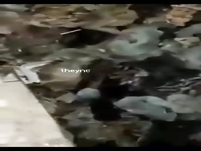 the trash in it's place