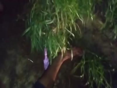 Damn it, dead blacks