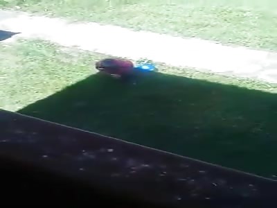 Teacher is stung by student