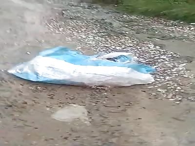 Lifeless body, inside a bag