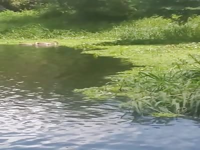 Lifeless body in the water