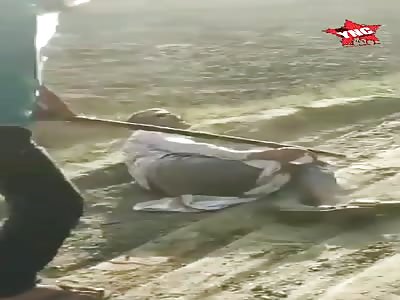 Punished, Man Beaten with Hammer on Legs