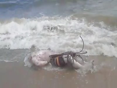 find rotten body at the seashore