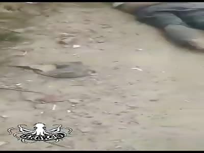 fatal accident, bodies found lifeless in the drain