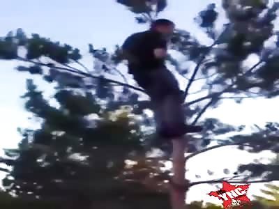 This man is fucking stupid