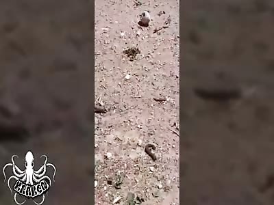 victims of drone strikes