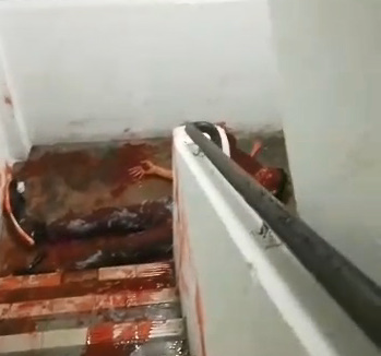 Let him Die...Man Mutilated from a Machete Squirms in the Floor