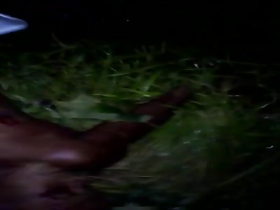  killed by multiple shots