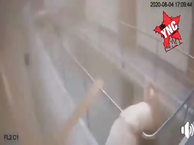 The moment the Dutch ambassador's wife died in an explosion in a port