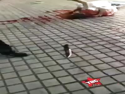 the couple was brutally stabbed