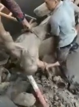 Bad Work Day: Pulled Out of Cement Machine