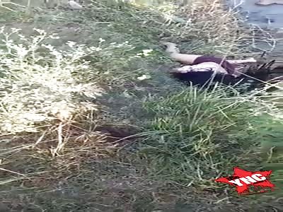 Woman found lifeless