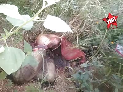 They find a body in an advanced state of decomposition