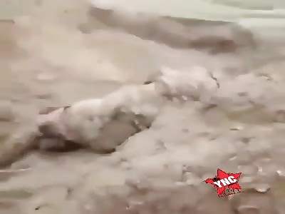 Soldier wounded and shot in the head