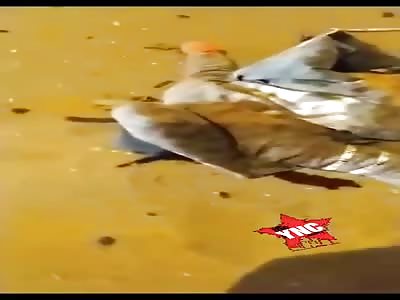 Men die in tragic car accident