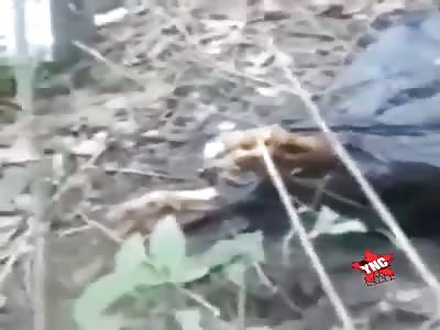 Woman found inside a purse