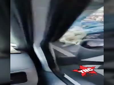 Die crushed by car