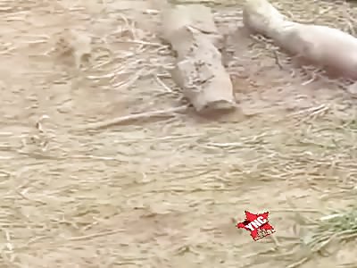 Friend how bad you must holer