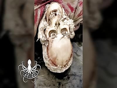 Fisherman found half eaten by fish