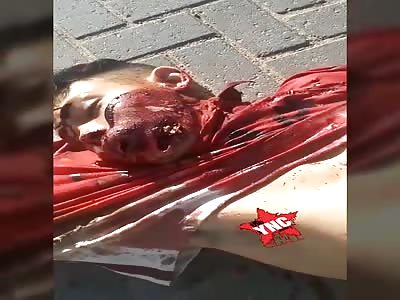 Young man assigned to multiple shots