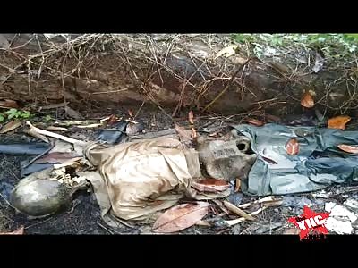 Body in a state of putrefaction