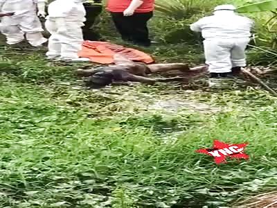 There is a lot of garbage in the forests