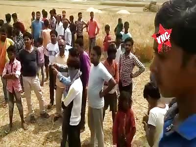 The man fell into the wheat crusher