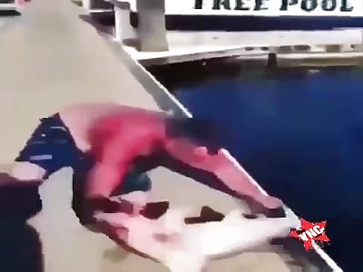 DAMN: The Shark is Hungry.