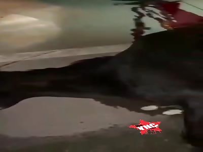 Damn the horse gets in the way