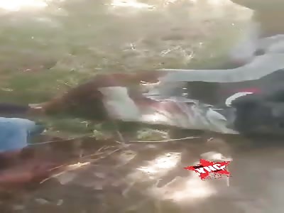 The old man is beaten mercilessly