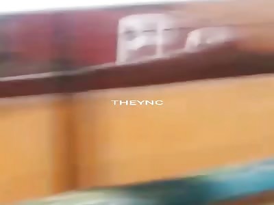 I watch his last cockfight