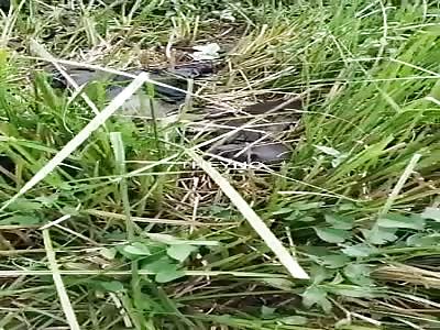 Man found decomposed.