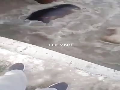 But what the hell are you doing there