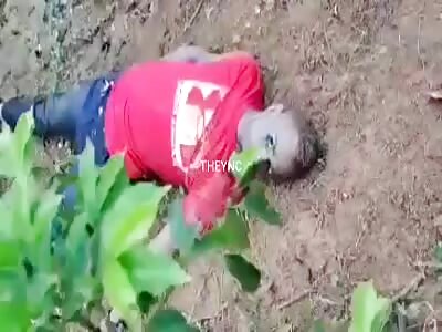 They only serve as bird food.