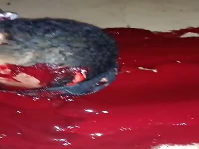 Killed  shots to the head