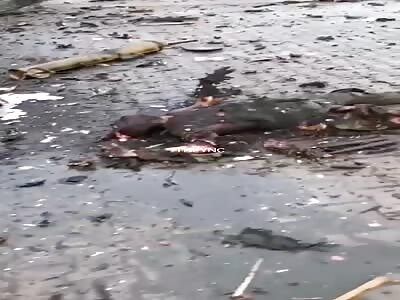 Corpses of burned Russian troops