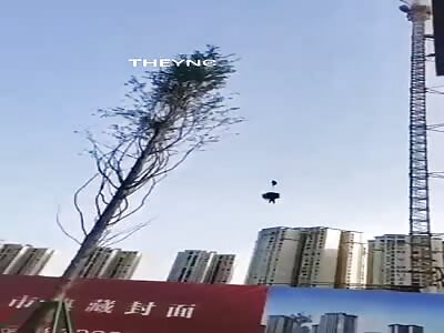 Very fucked up work day