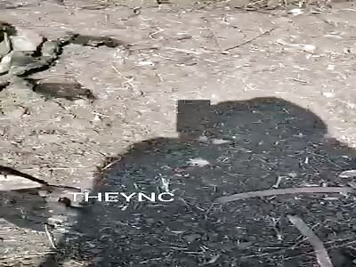 Bodies of fallen soldiers in battle