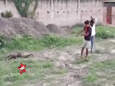 Hey friend, what were you doing in there?