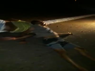 ACCIDENT ALL BY THE, BLAME OF AN ANIMAL