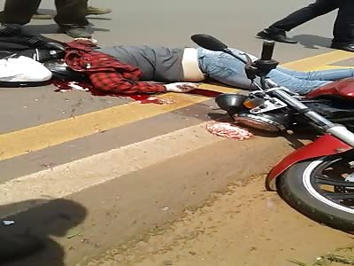 Veterinary dies in accident