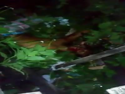 Murdered man with head shot