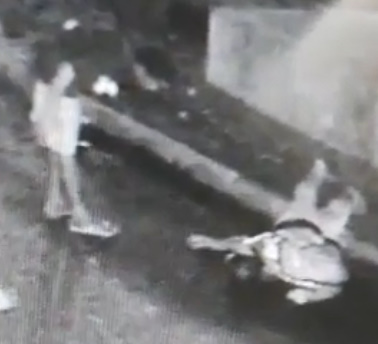 Drunk Man Falls From Overpass & Gets Robbed