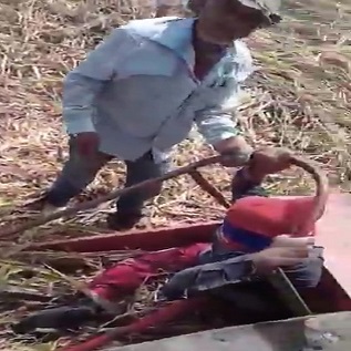 Reason to Stay the Fuck Away From Heavy Machinery