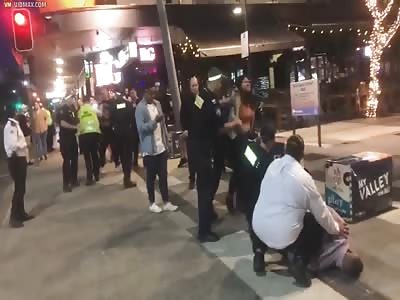 Woman Resists Arrest, Gets a Dose of Gender Equality