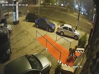 Ex-UFC heavyweight saves woman from assault outside nightclub