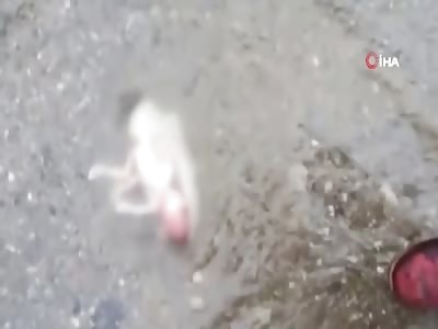 Turkey - A dead body of a newborn